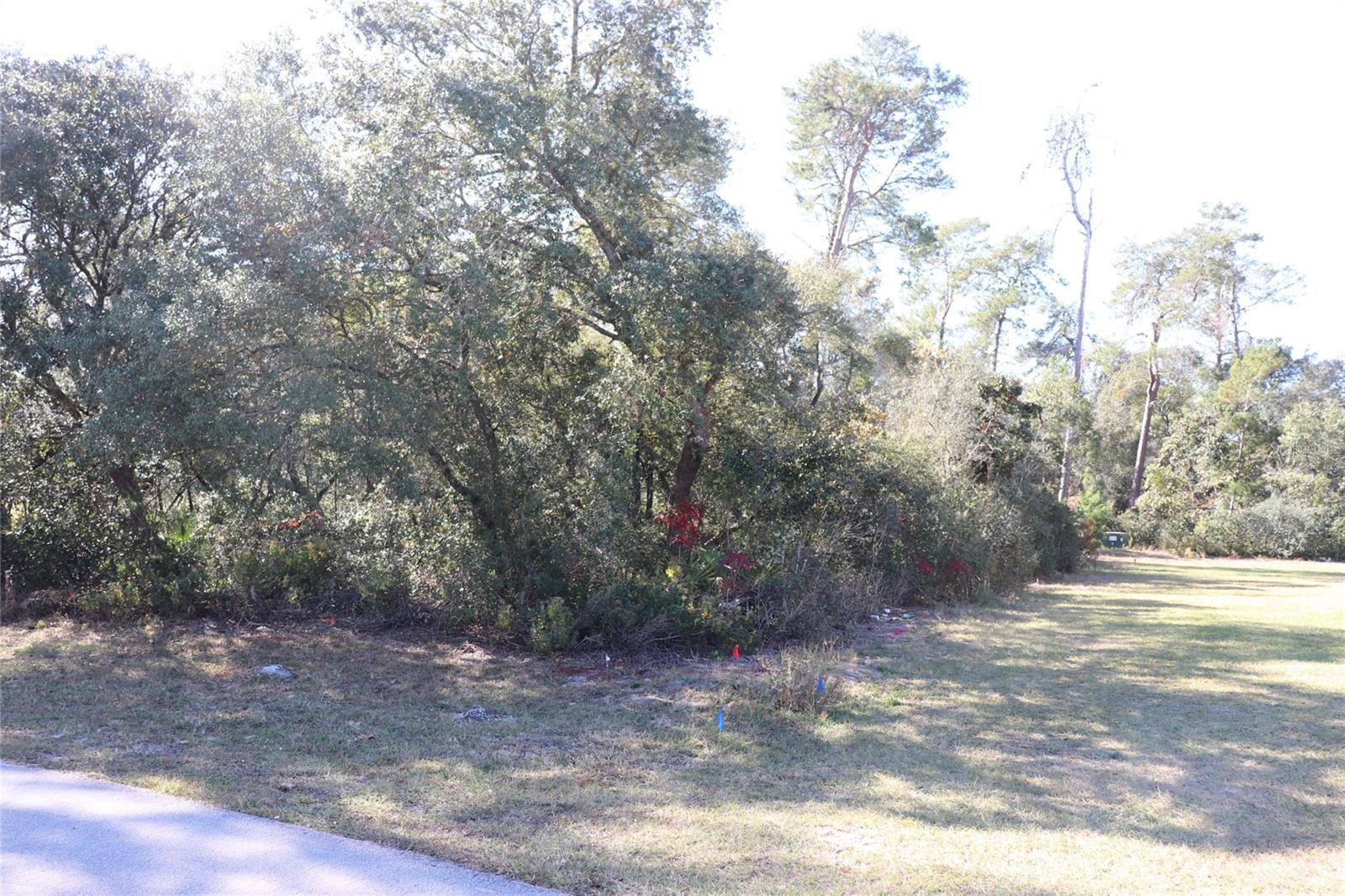 Image 3 of 8 For Tbd Marion Oaks Golf Road