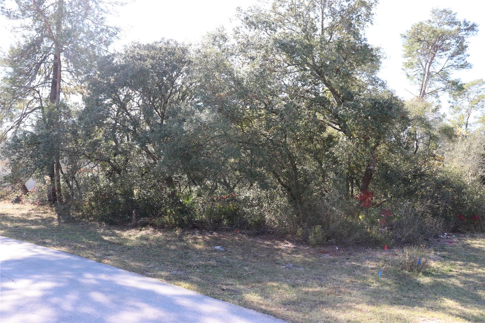 Image 4 of 8 For Tbd Marion Oaks Golf Road