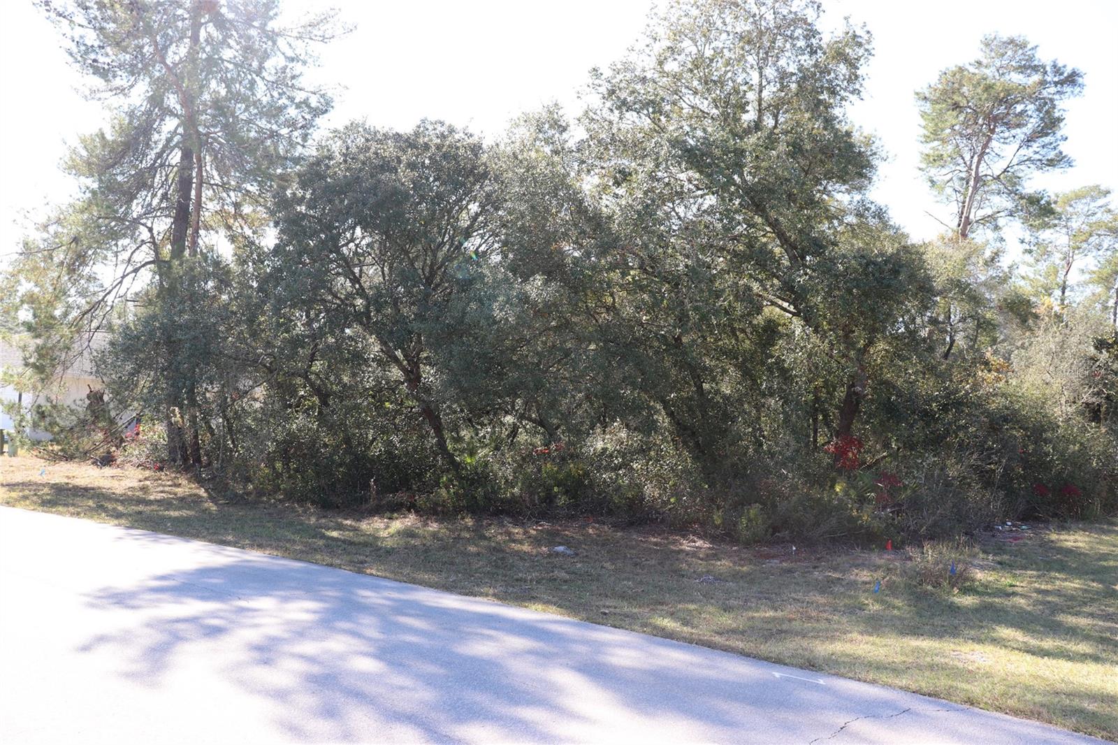 Image 6 of 8 For Tbd Marion Oaks Golf Road
