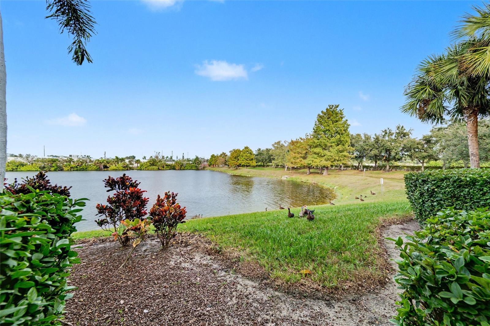 Image 24 of 50 For 3505 45th Terrace W 105