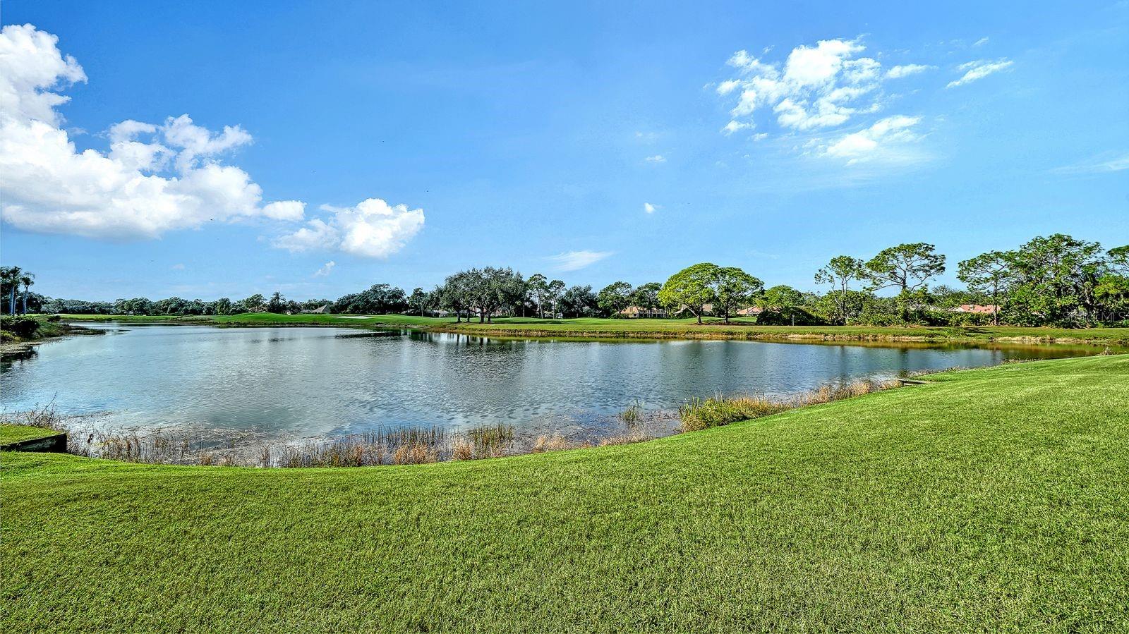 Image 50 of 65 For 8108 Collingwood Court