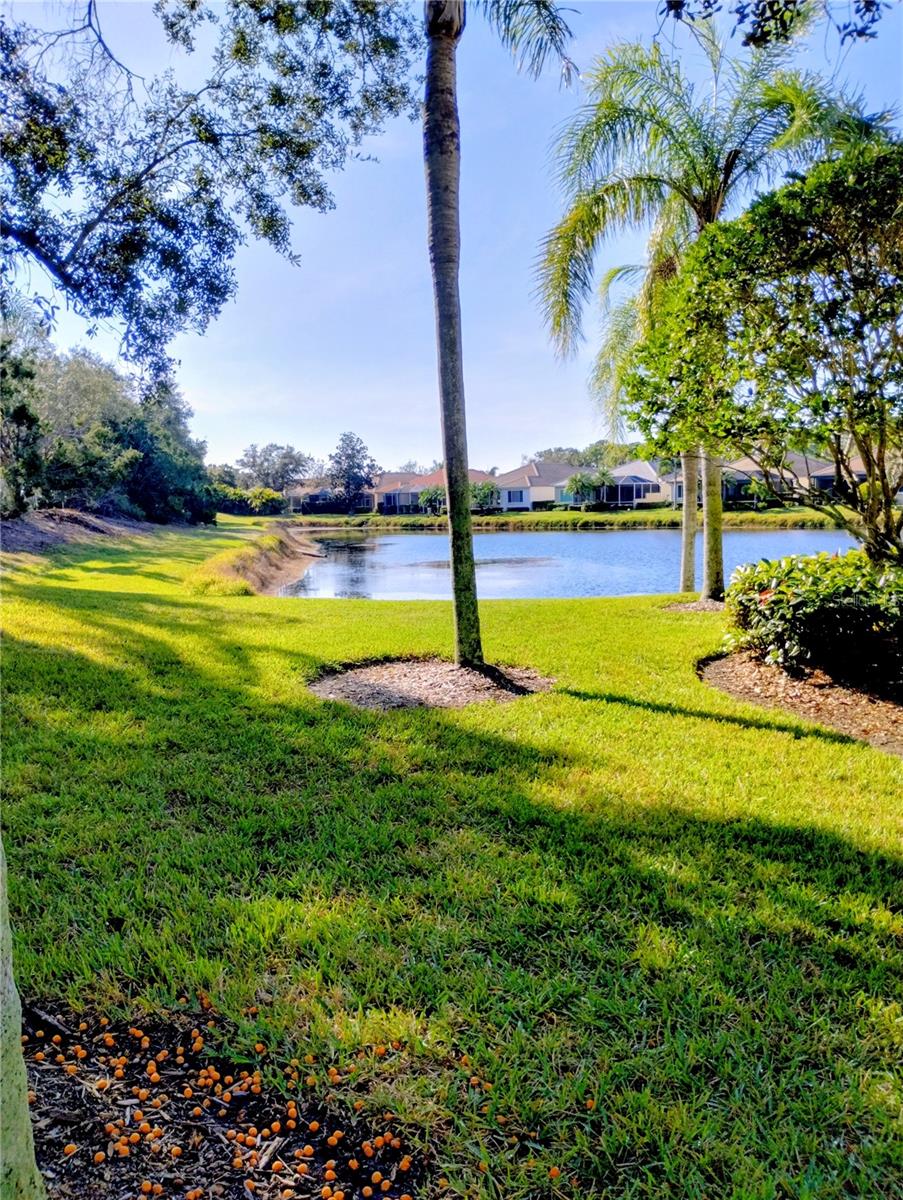 Image 4 of 55 For 5242 Parisienne Place 201b30