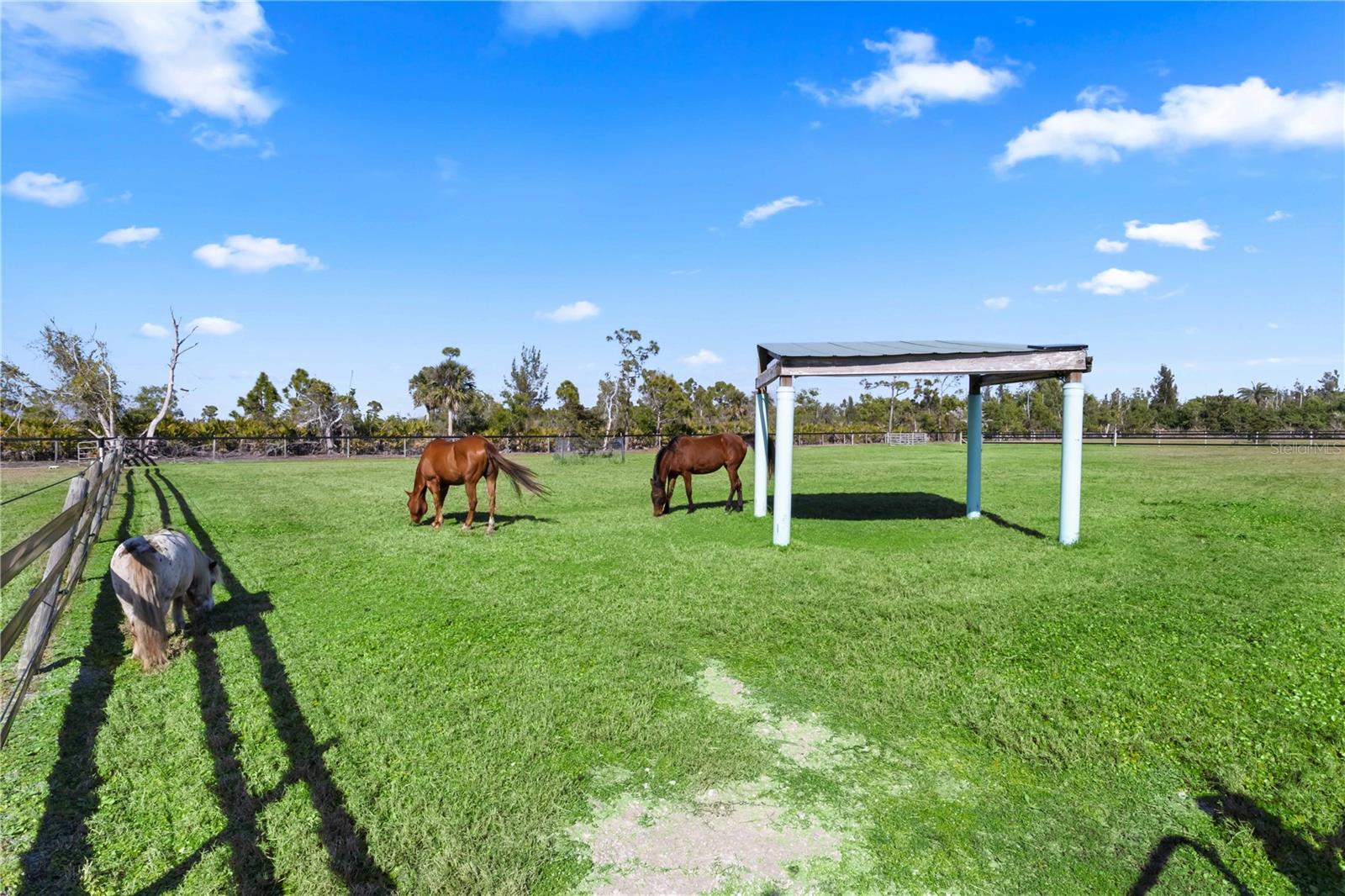 Image 31 of 50 For 6050 Stringfellow Road