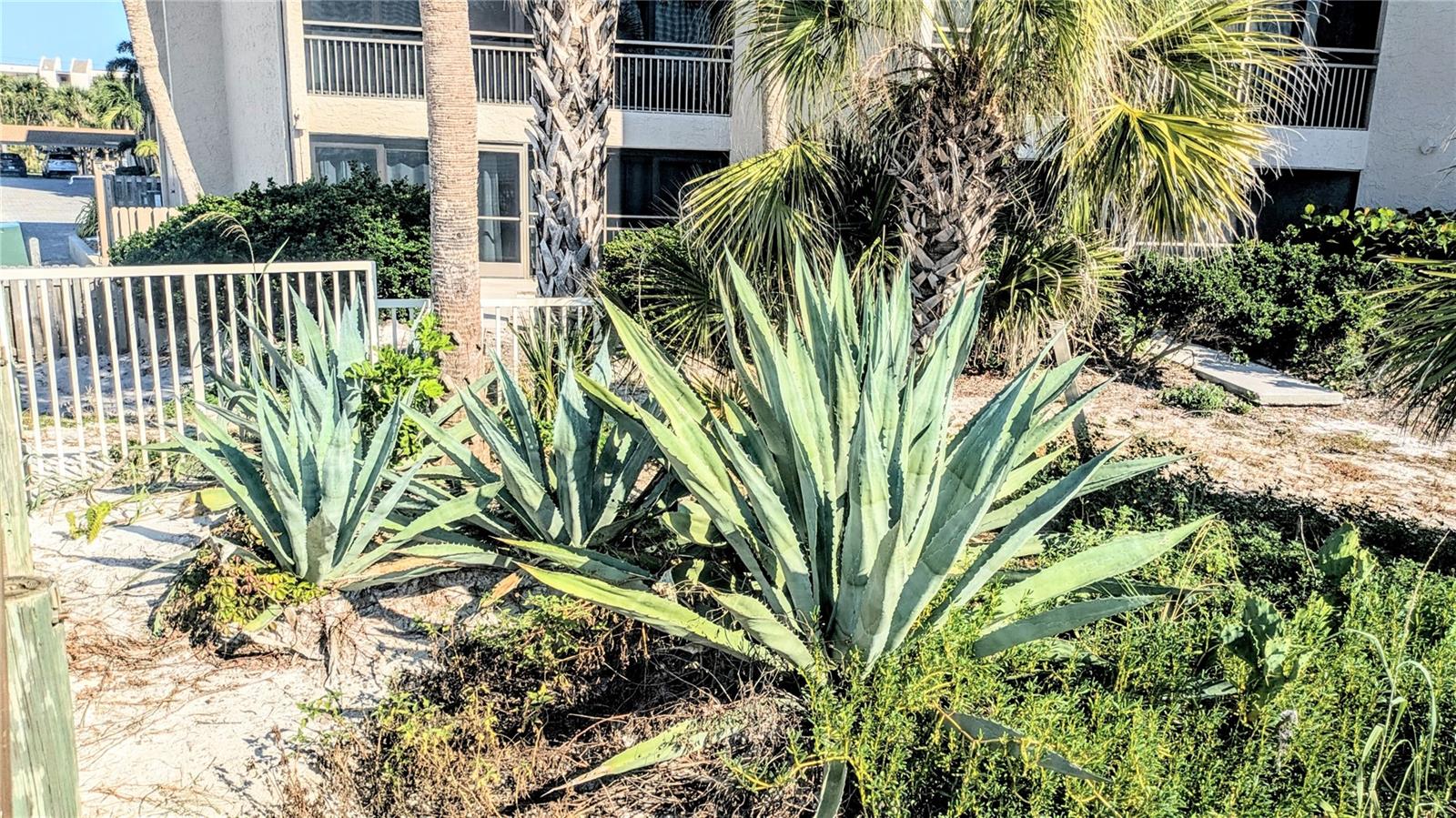 Image 29 of 49 For 6327 Midnight Pass Rd Road 999