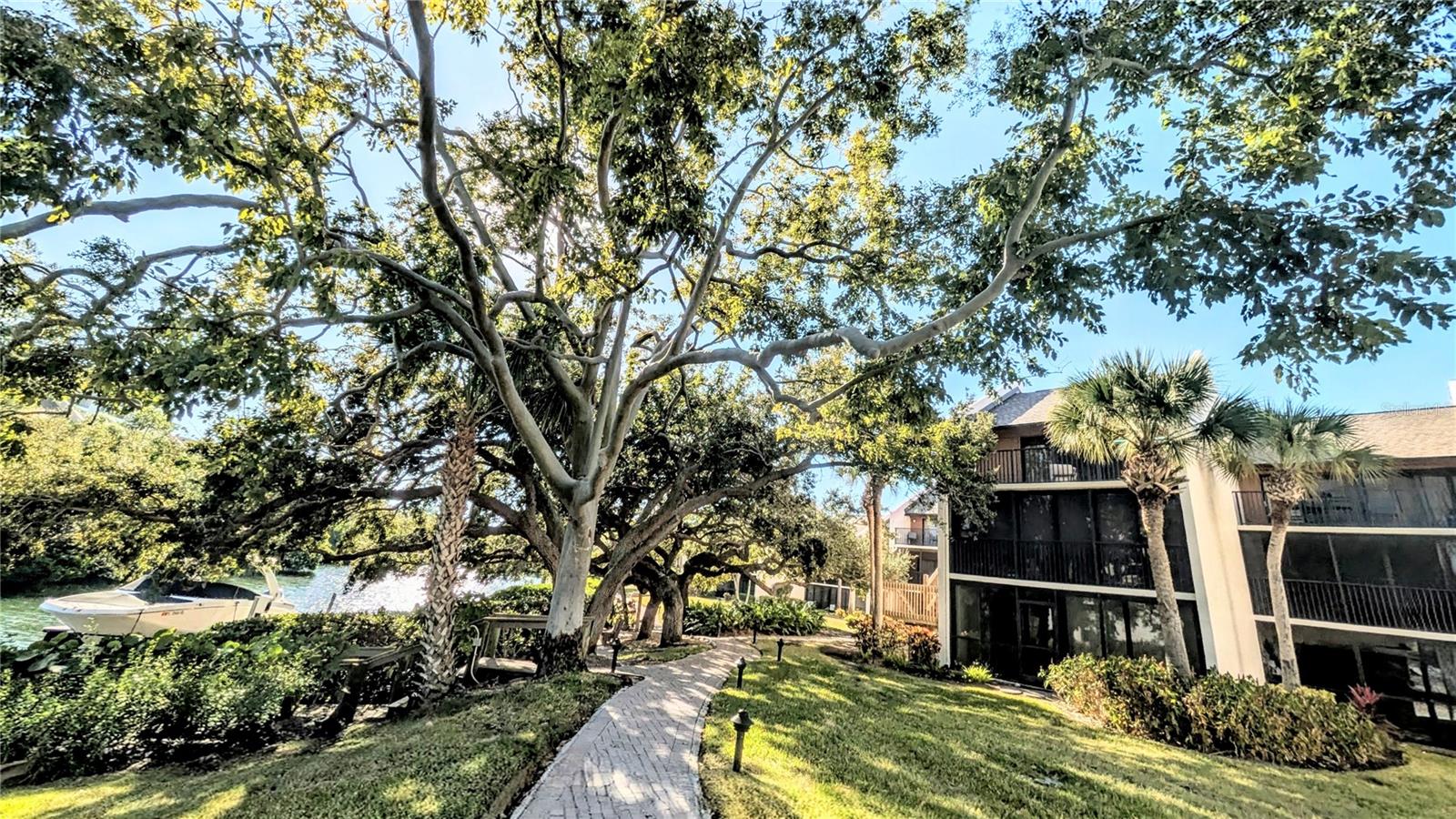 Image 44 of 49 For 6327 Midnight Pass Rd Road 999