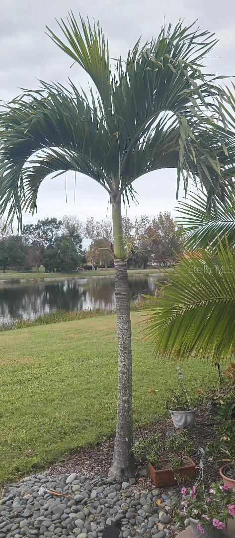 Image 21 of 28 For 6650 Willowshire Way