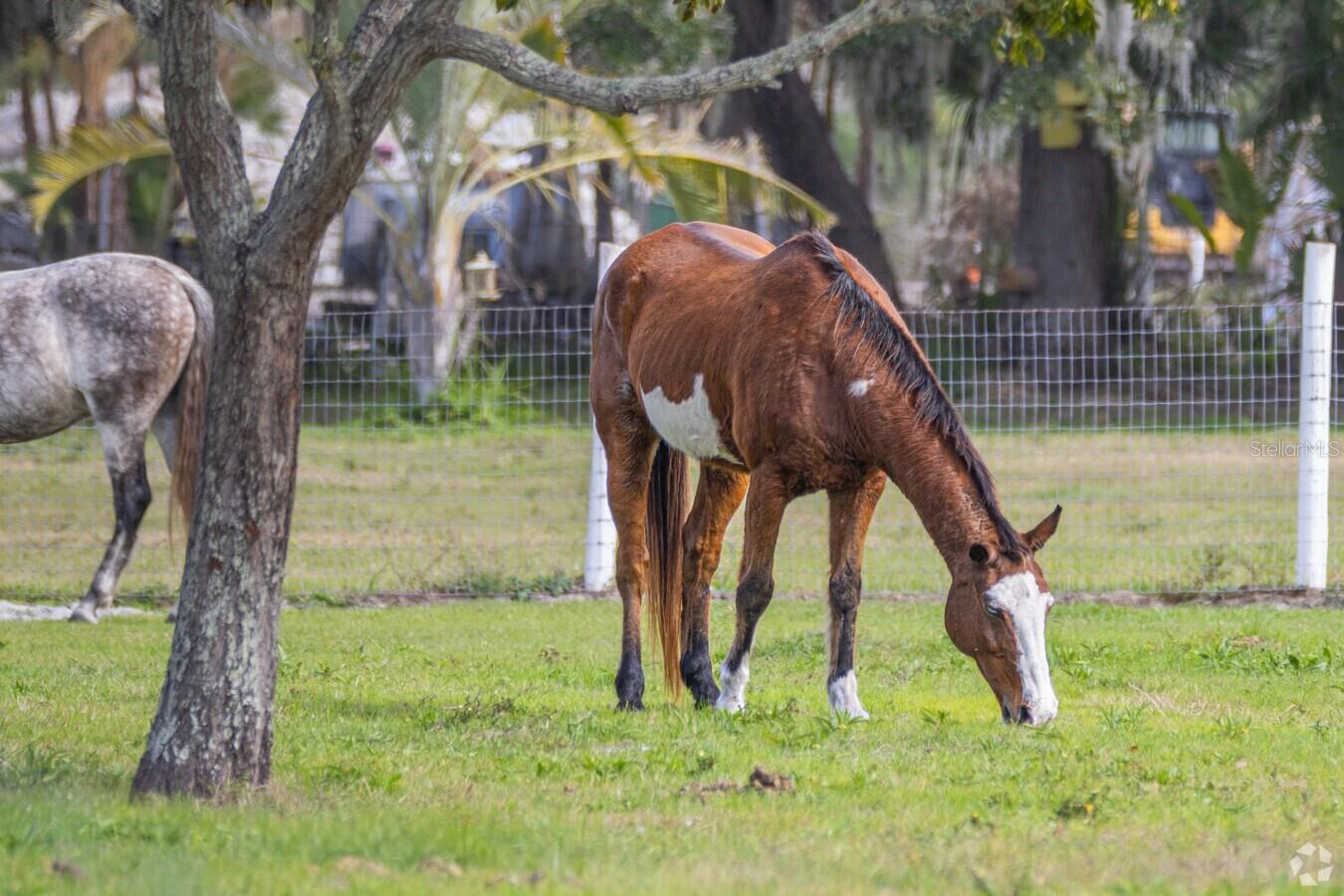 Listing photo id 71 for 910 Bayshore Drive