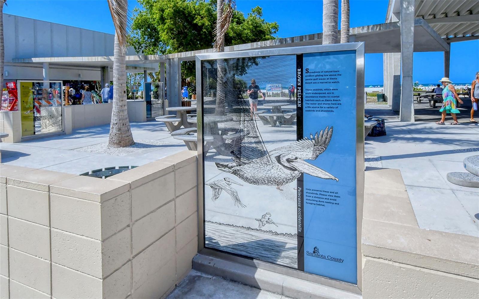 Image 48 of 58 For 9034 Midnight Pass Road 6