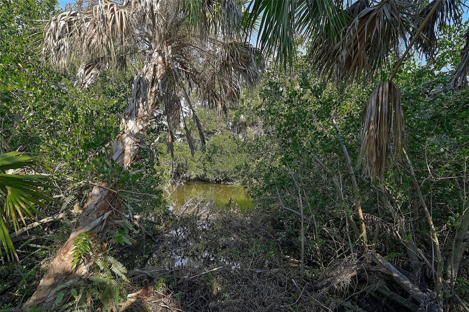 Image 47 of 67 For 919 Tranquility Circle