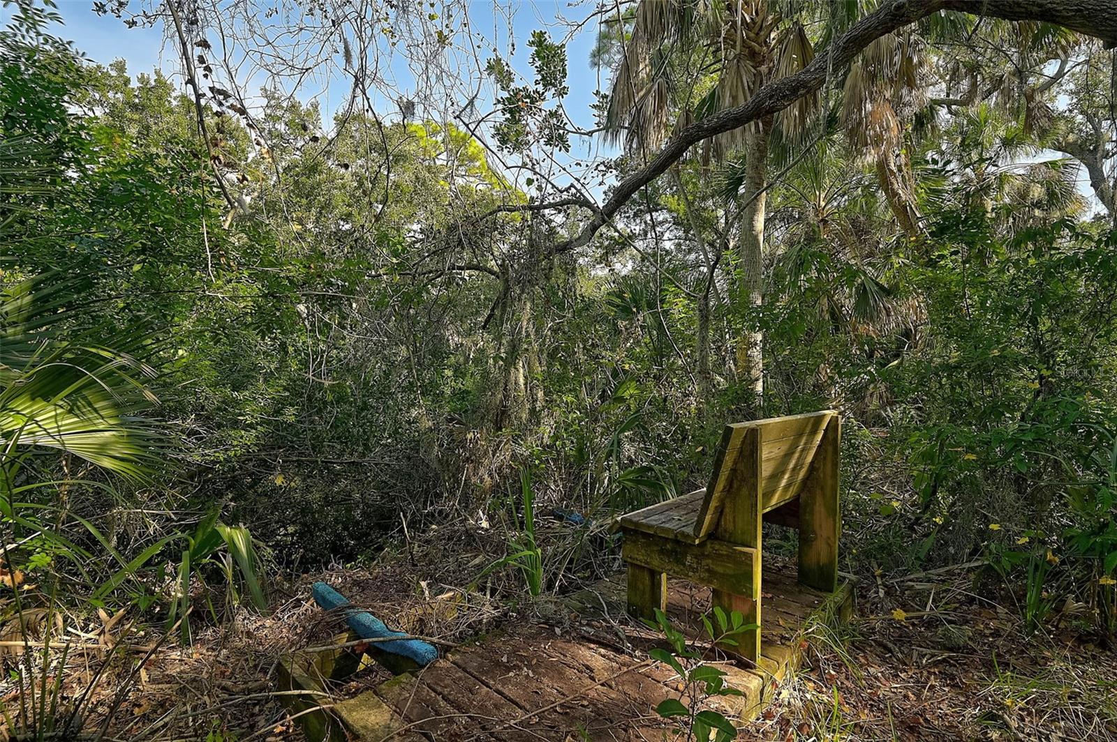 Image 48 of 67 For 919 Tranquility Circle