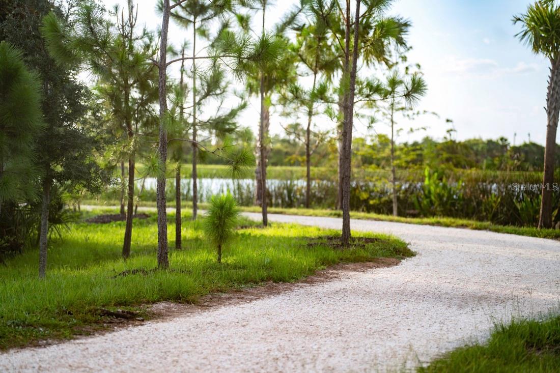 Image 19 of 23 For 12420 Hardwood Street