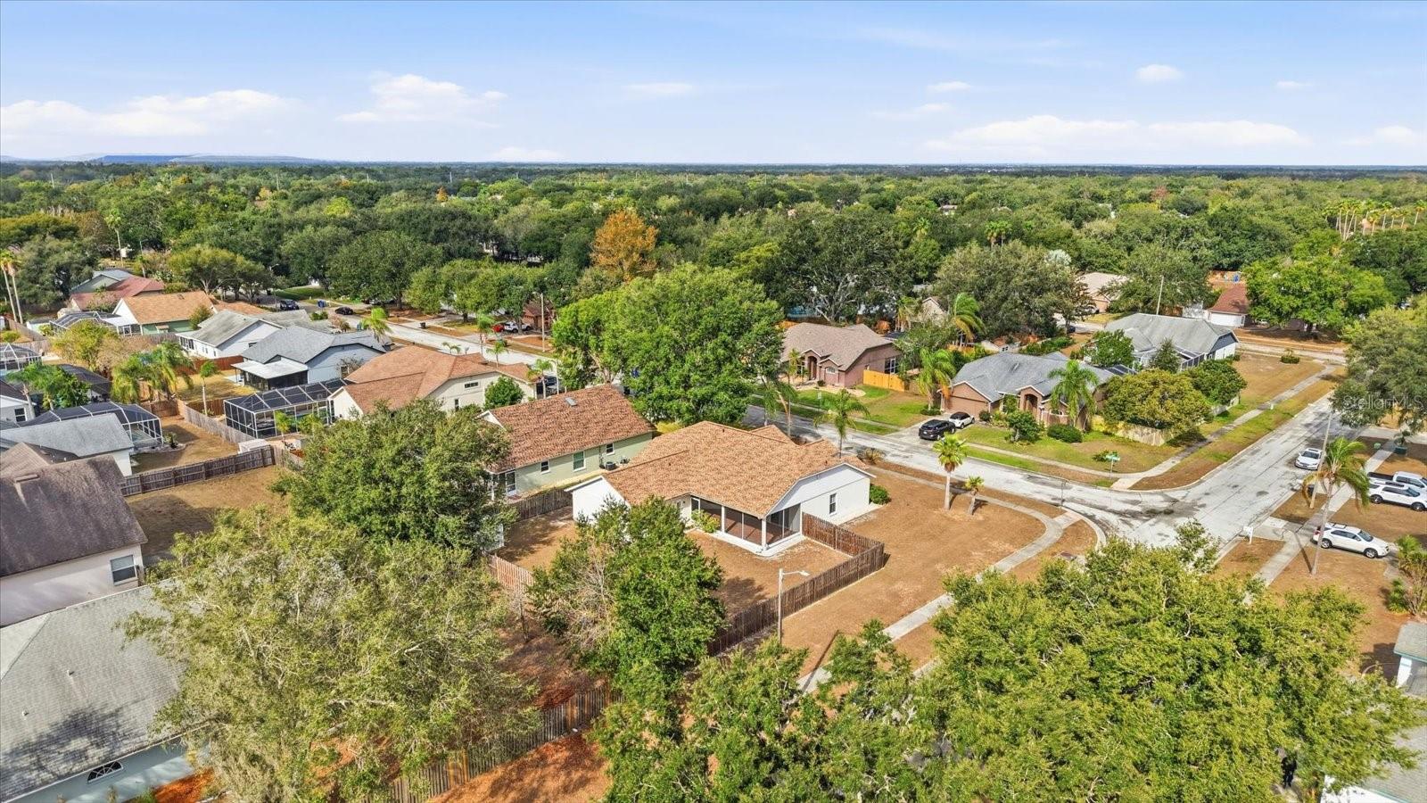 Image 35 of 43 For 12231 Shady Forest Drive