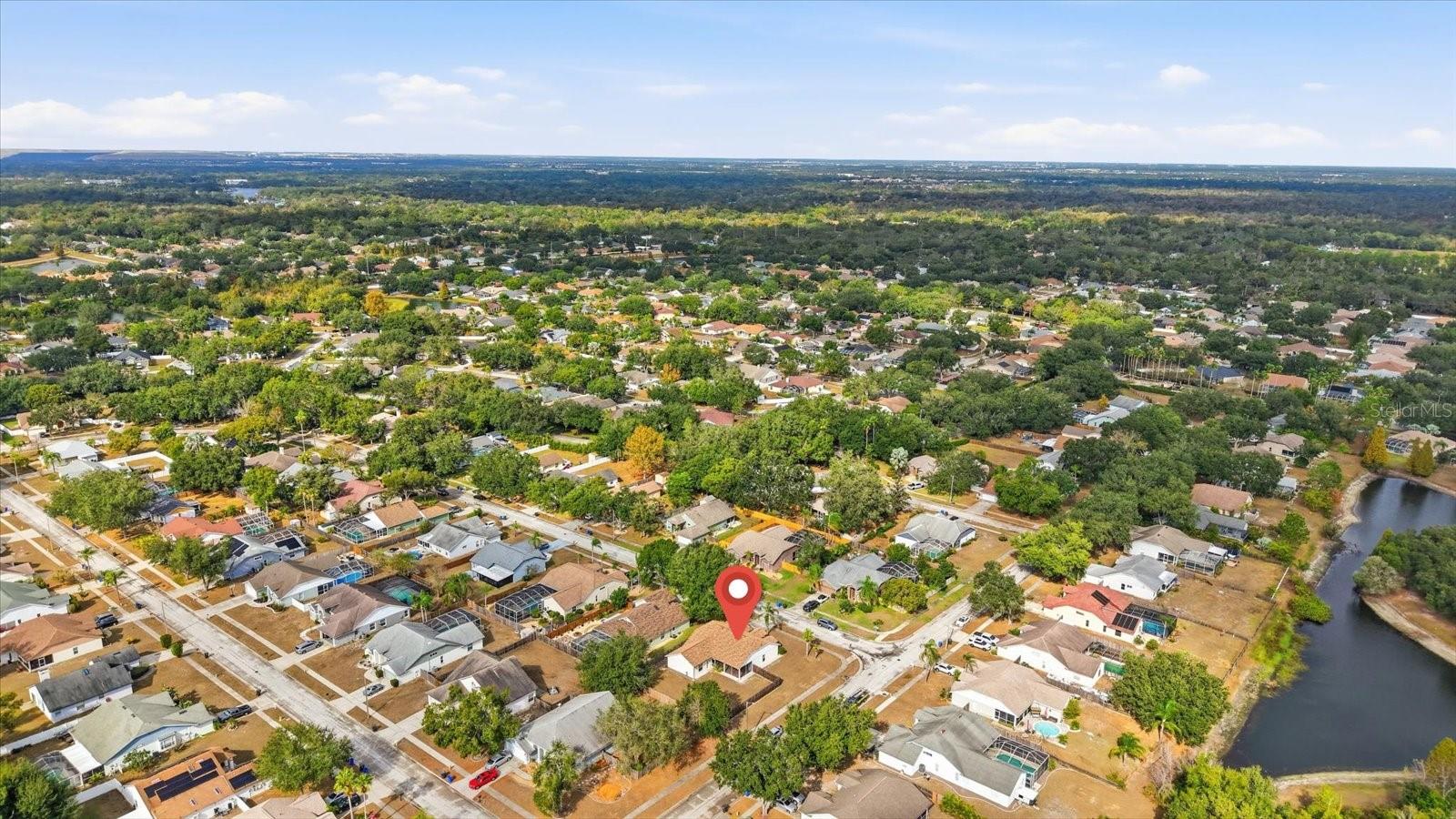 Image 40 of 43 For 12231 Shady Forest Drive