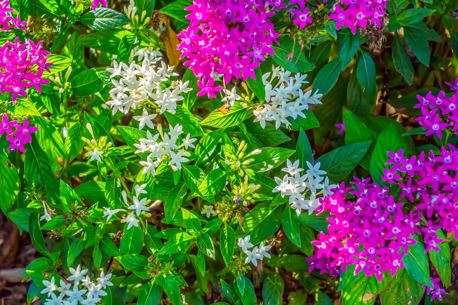 Image 60 of 80 For 5209 Lake Overlook Avenue