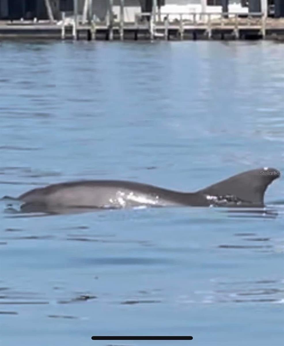 Image 28 of 31 For 8074 Saint Kitts Circle