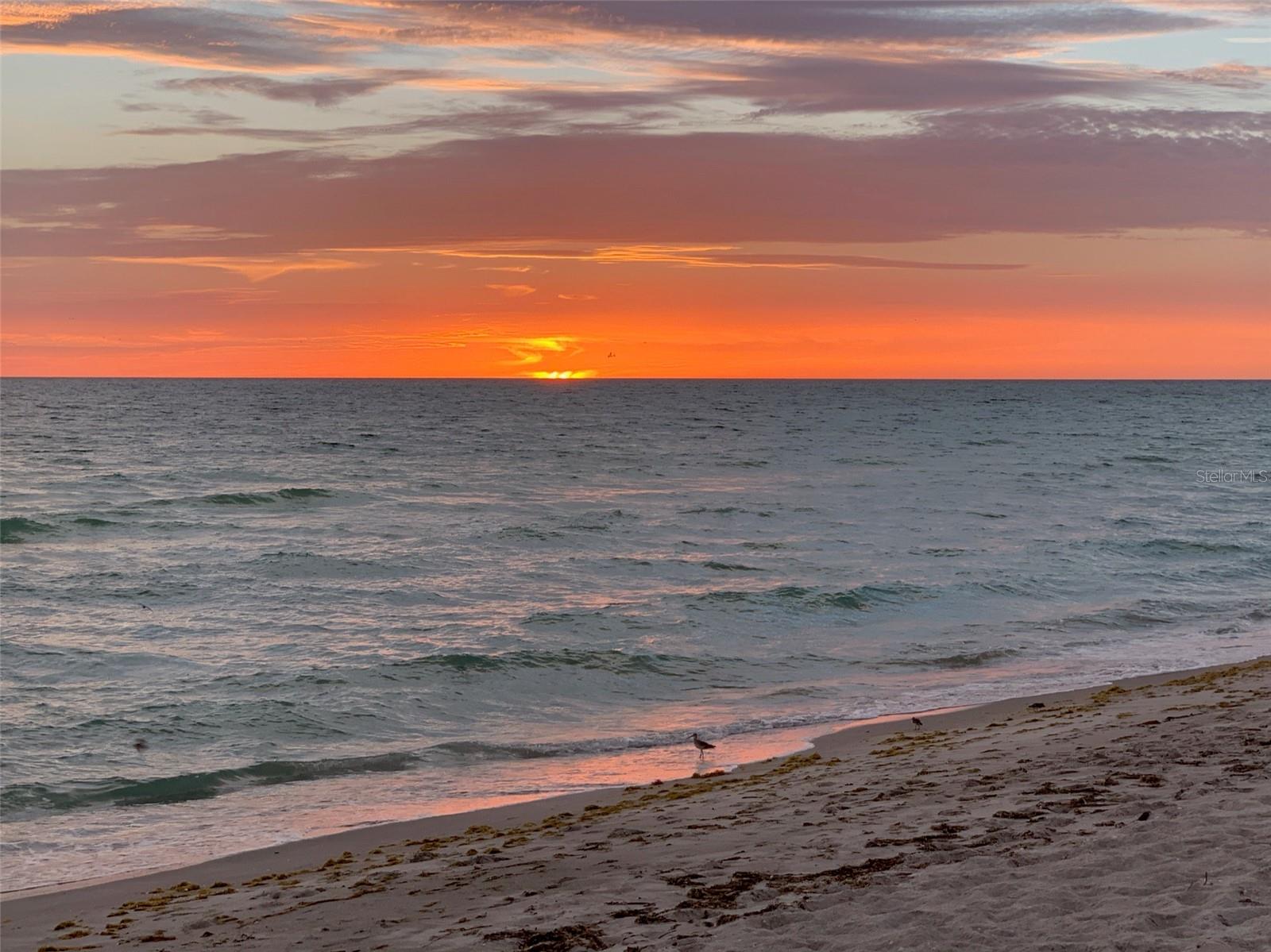 Listing photo id 86 for 519 Rountree Drive