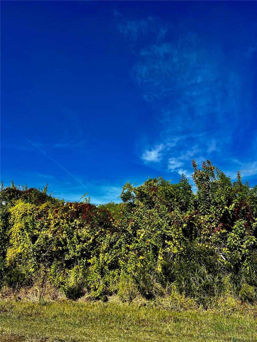 Image 2 of 3 For 10245 Winstead Avenue