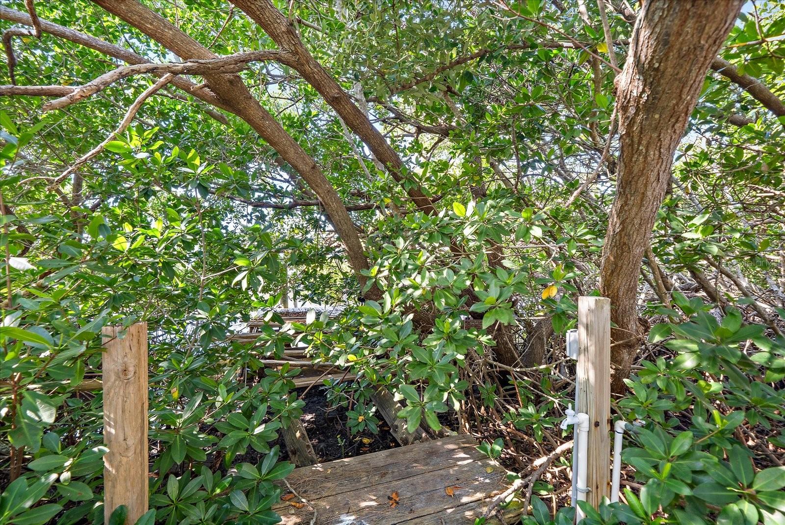 Image 13 of 49 For 6841 Longboat Drive S