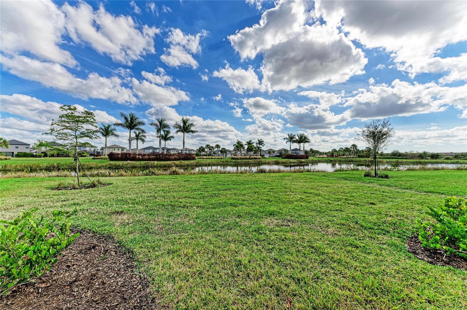 Image 44 of 72 For 10144 Morning Mist Lane