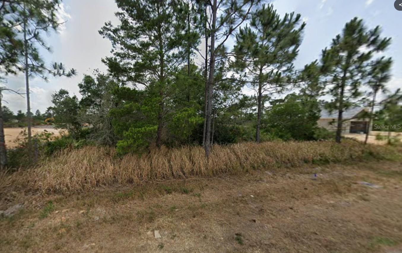 Image 6 of 6 For 6067 Michelangelo Street