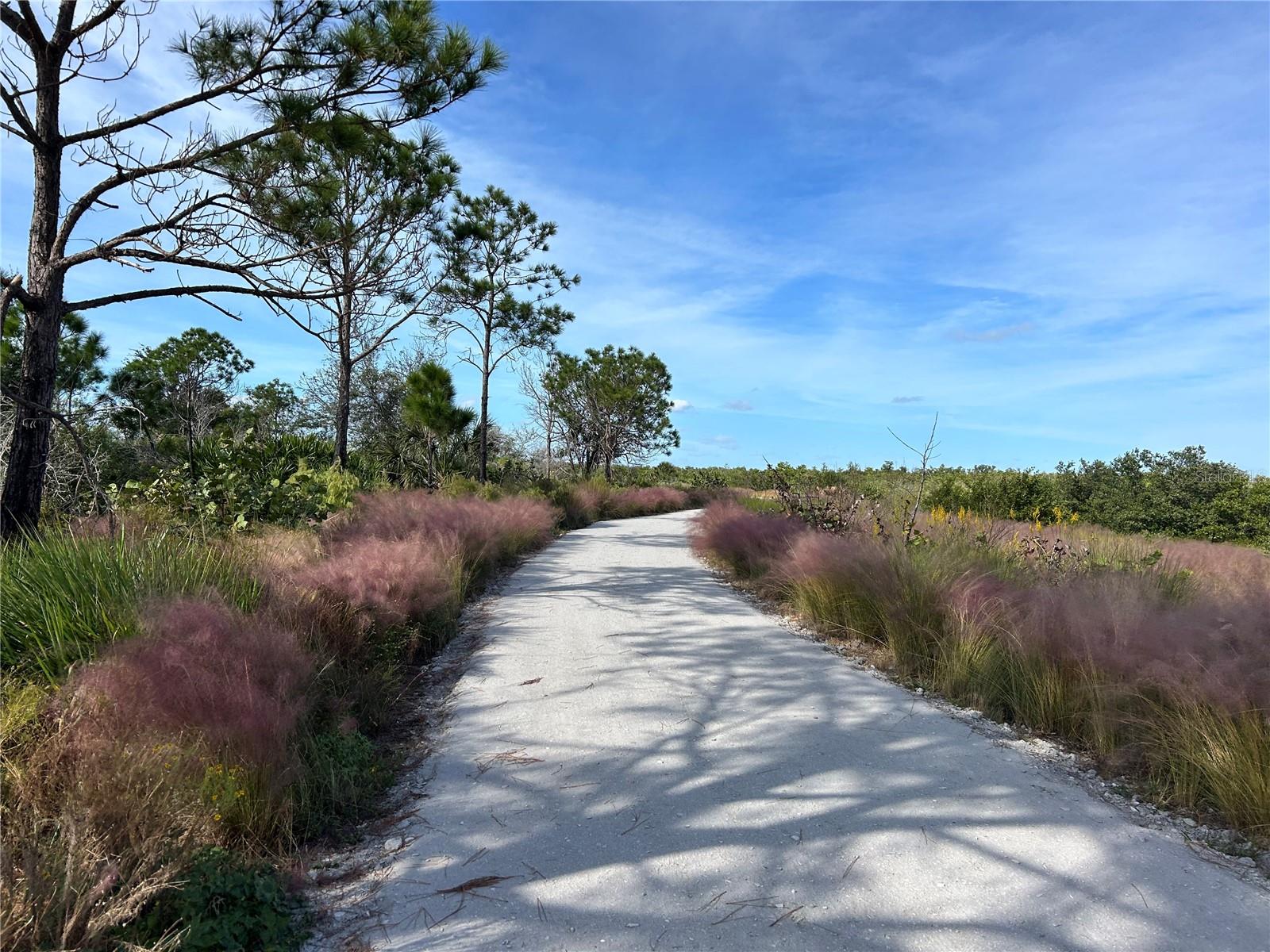 Image 28 of 30 For 8611 51st Avenue W