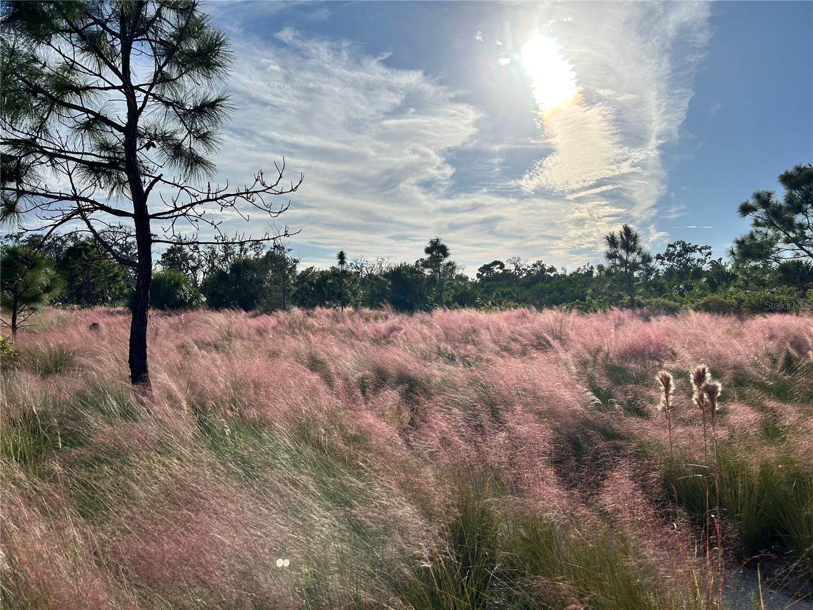 Image 29 of 30 For 8611 51st Avenue W