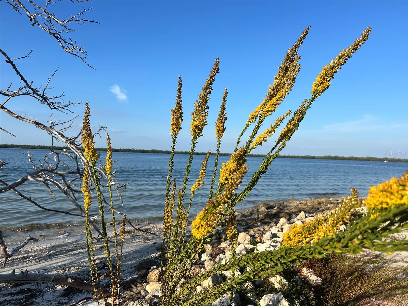 Image 30 of 30 For 8611 51st Avenue W