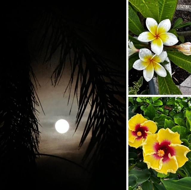 Image 73 of 79 For 10315 Cortez Road W 15g