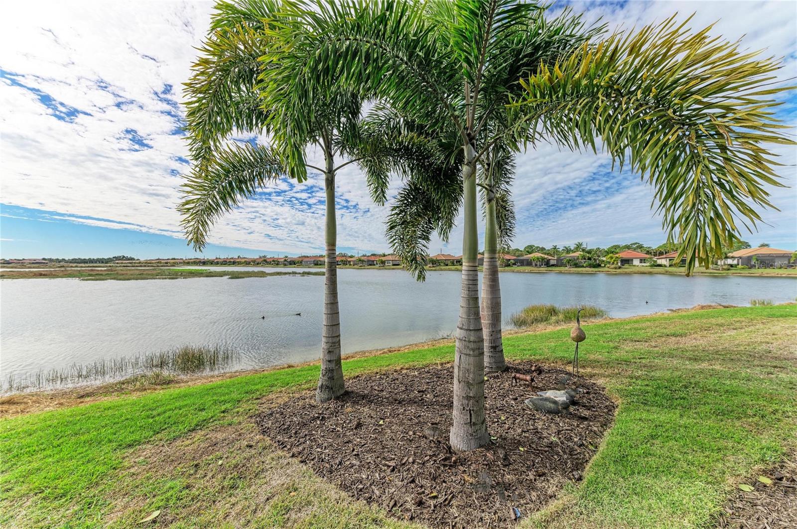 Image 4 of 100 For 629 Maraviya Boulevard