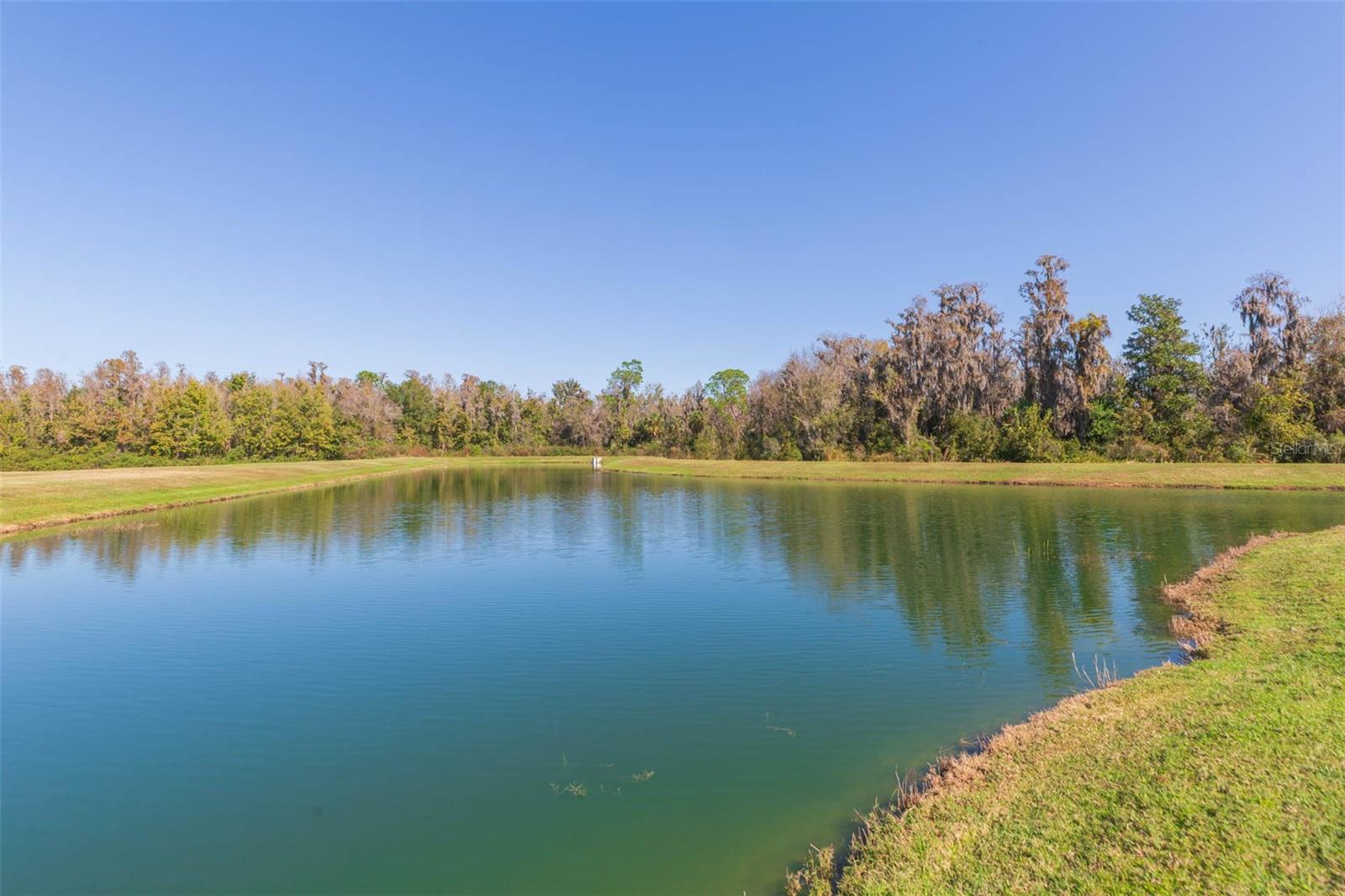 Image 35 of 40 For 16130 Monterey Greens Circle