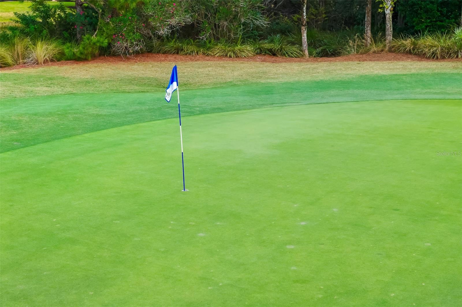 Image 47 of 77 For 13725 Messina Loop 104