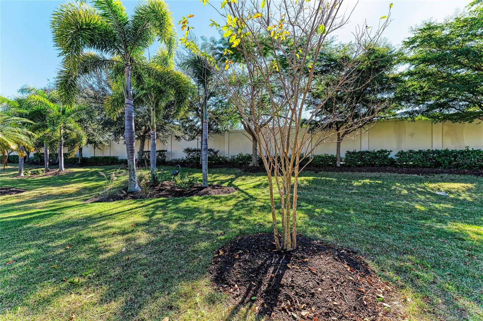 Image 20 of 77 For 131 Maraviya Boulevard