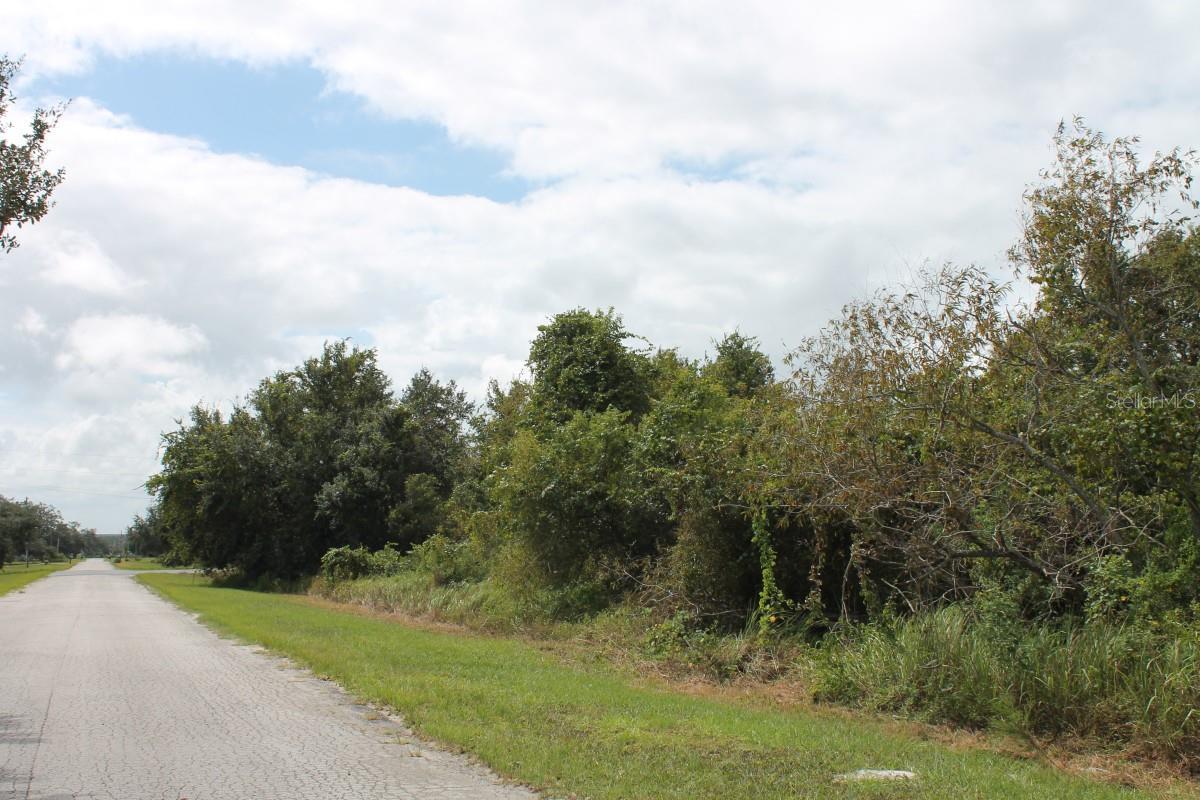 Image 4 of 5 For Artifact Drive