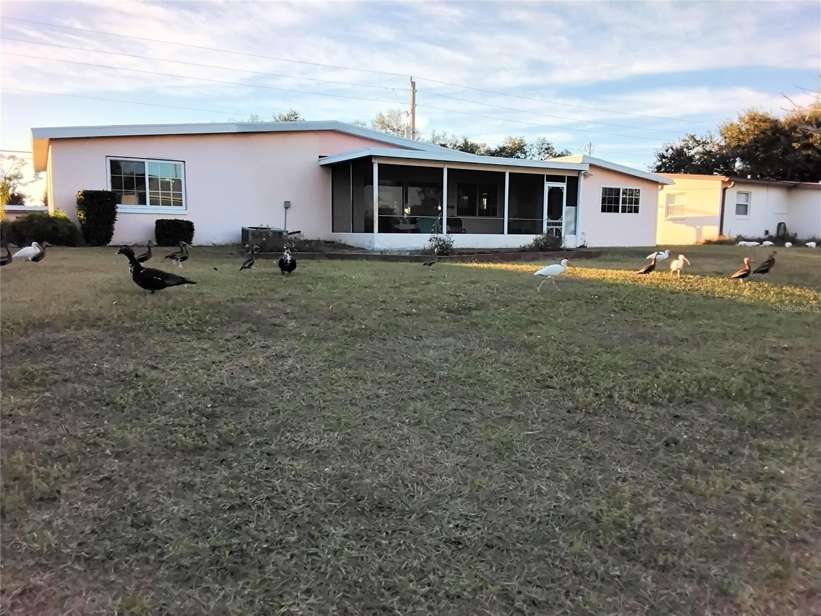 Image 14 of 73 For 2440 Elkcam Boulevard