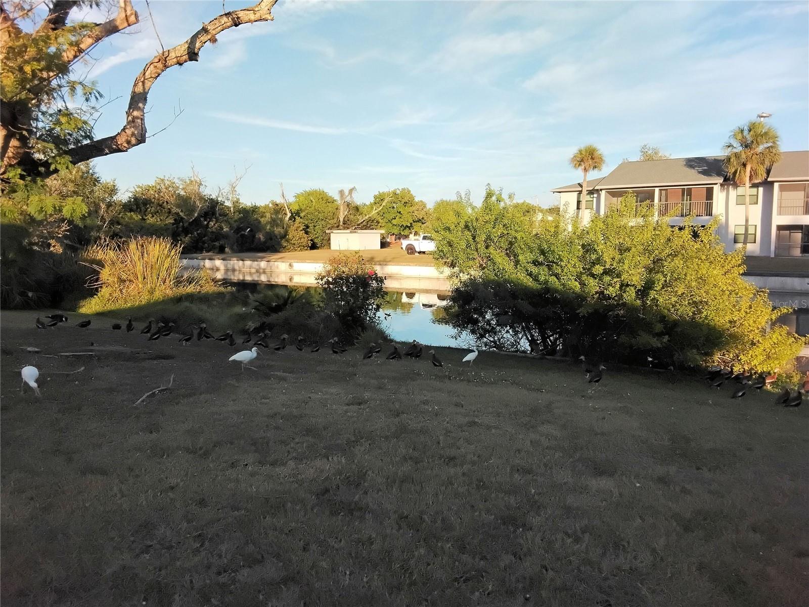 Image 70 of 73 For 2440 Elkcam Boulevard