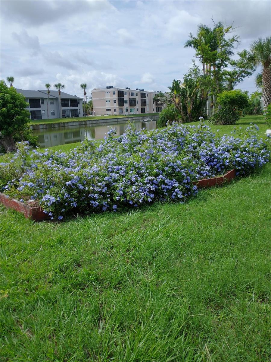 Image 72 of 73 For 2440 Elkcam Boulevard