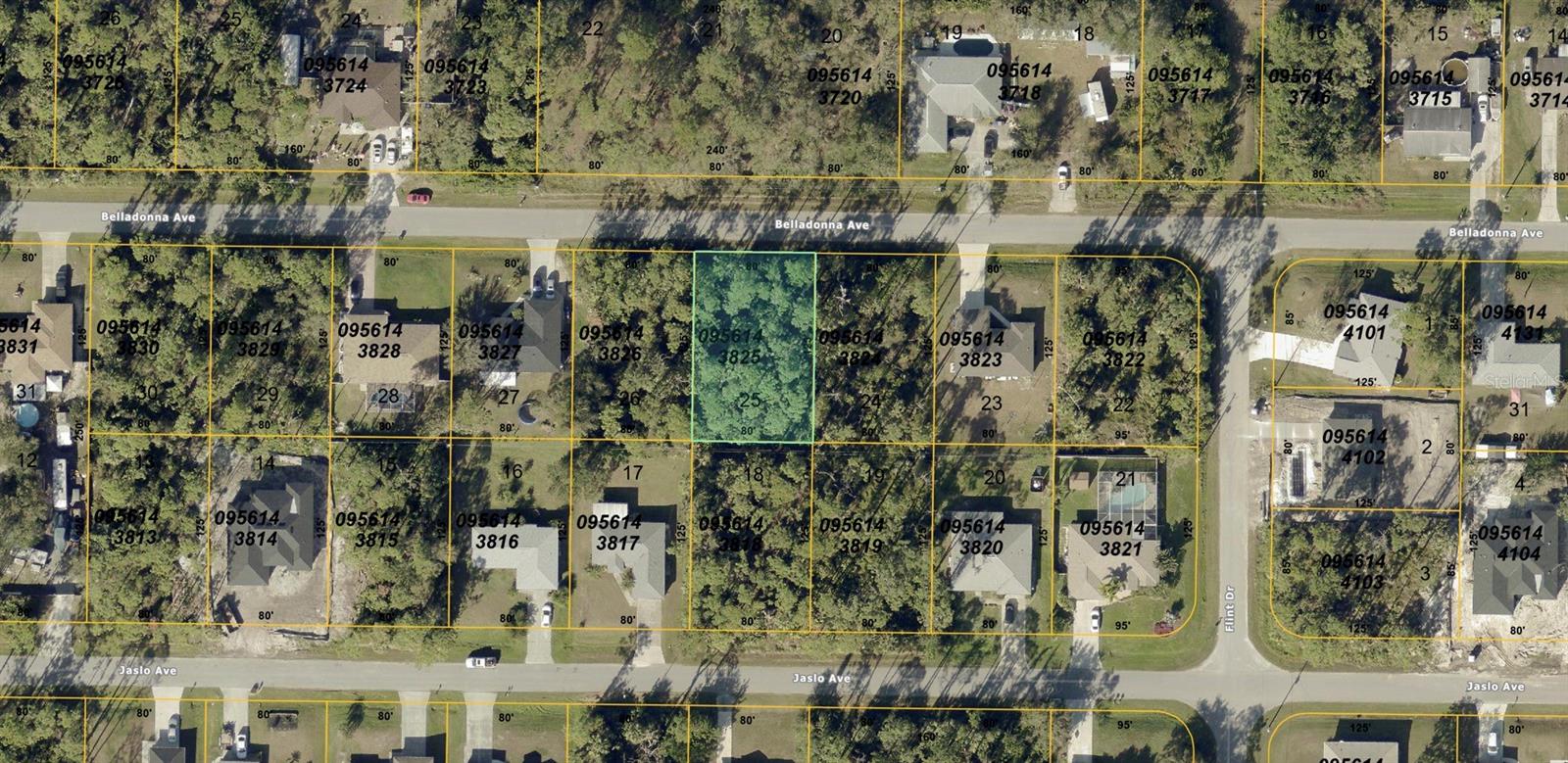 Listing photo id 0 for Belladonna Avenue