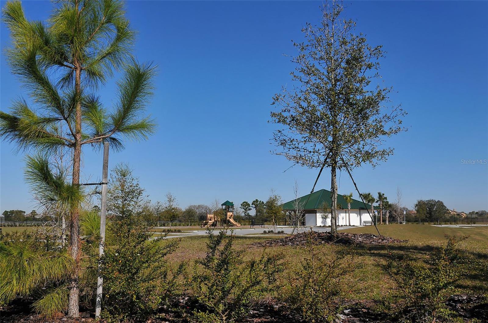 Image 43 of 72 For 16622 Kendleshire Terrace