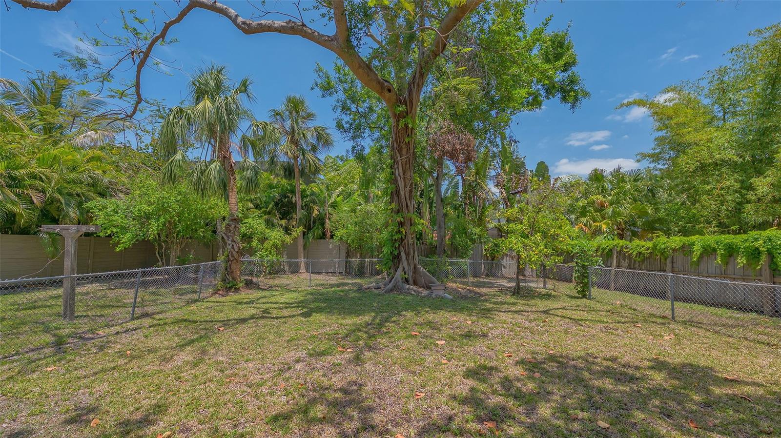 Image 16 of 28 For 1931 Bahia Vista Street