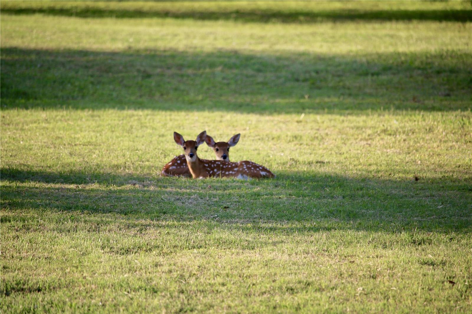 Image 62 of 64 For 13221 Branch Road