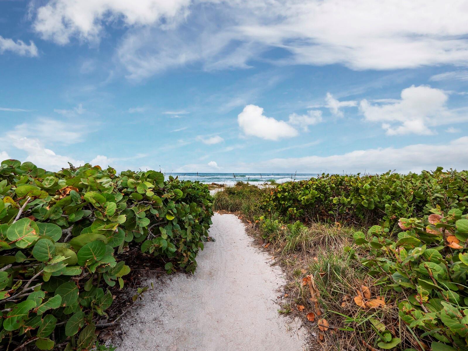 Image 50 of 50 For 836 Evergreen Way