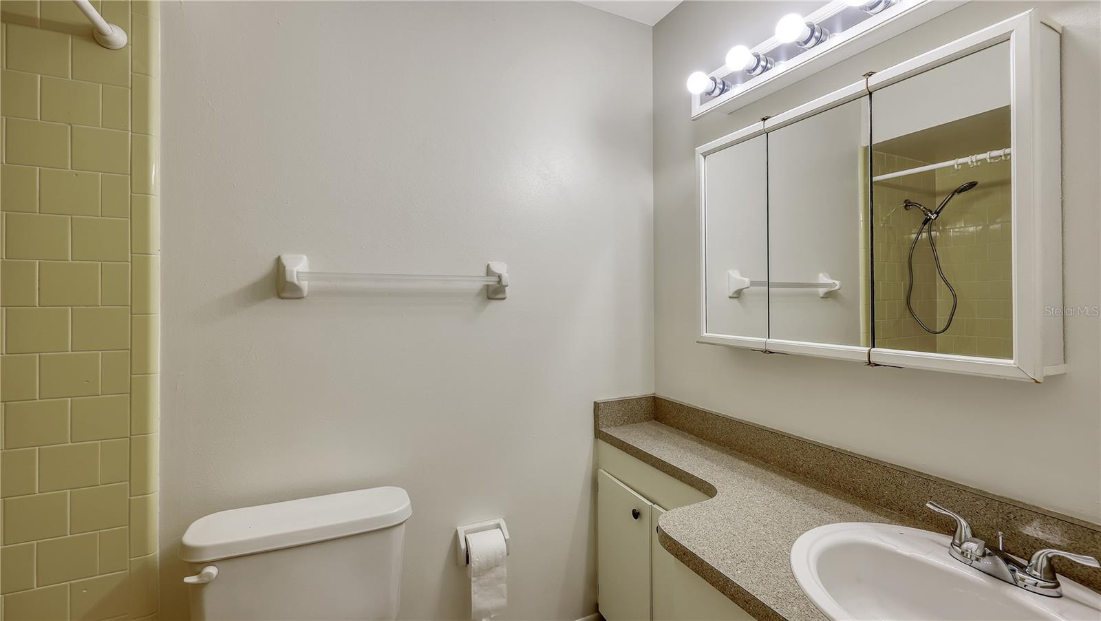 Image 24 of 30 For 2637 Java Plum Avenue