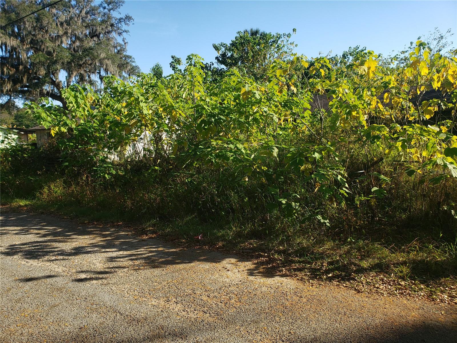 Image 2 of 26 For Address Not Provided