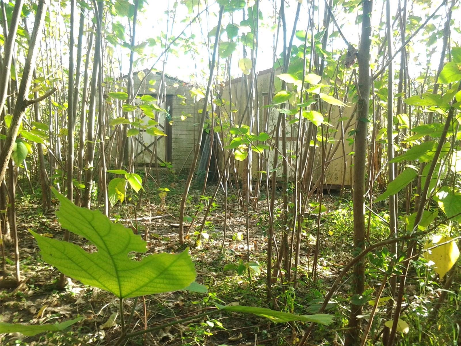 Image 21 of 26 For Address Not Provided