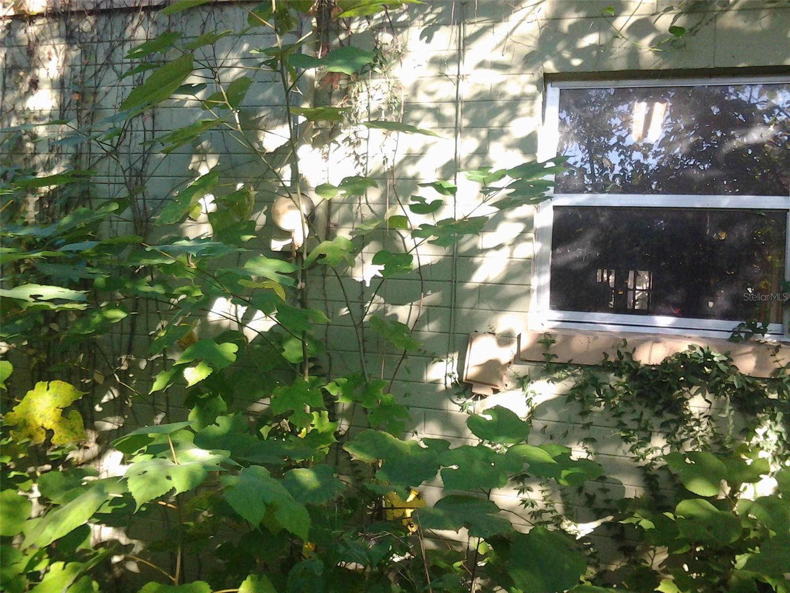 Image 24 of 26 For Address Not Provided