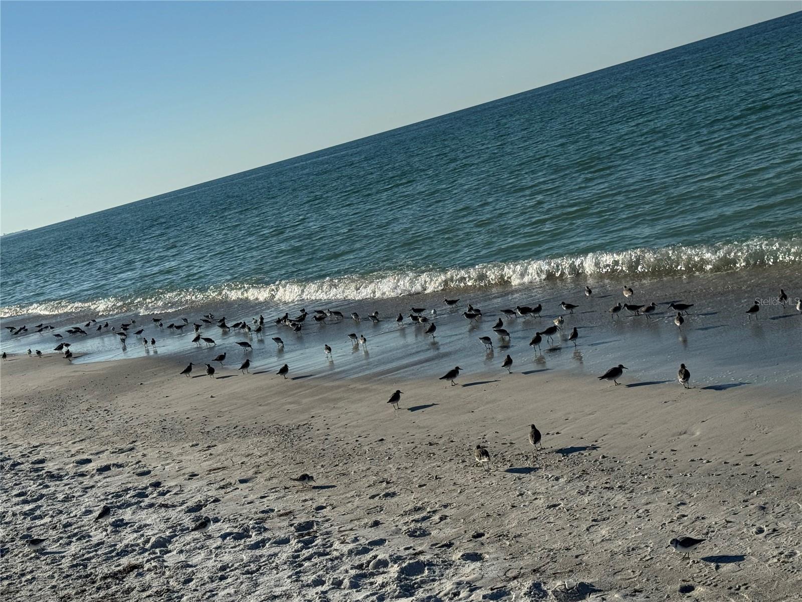 Image 37 of 39 For 517 42nd Street