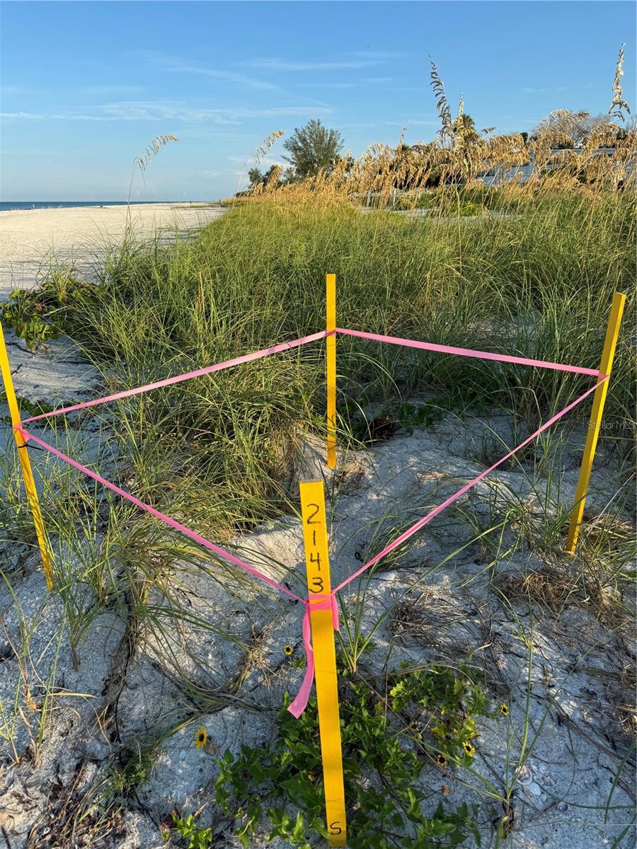 Image 39 of 39 For 517 42nd Street