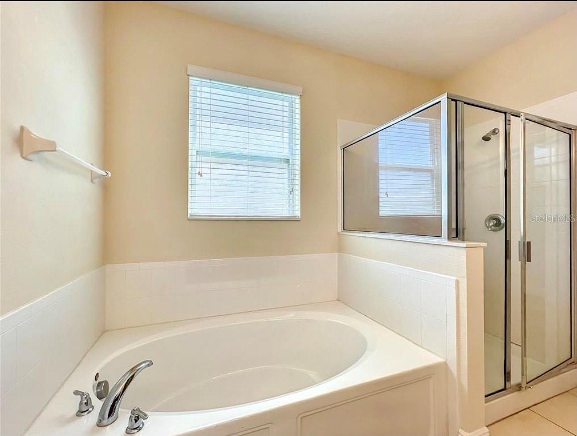 Image 15 of 21 For 14517 Black Lake Preserve Street