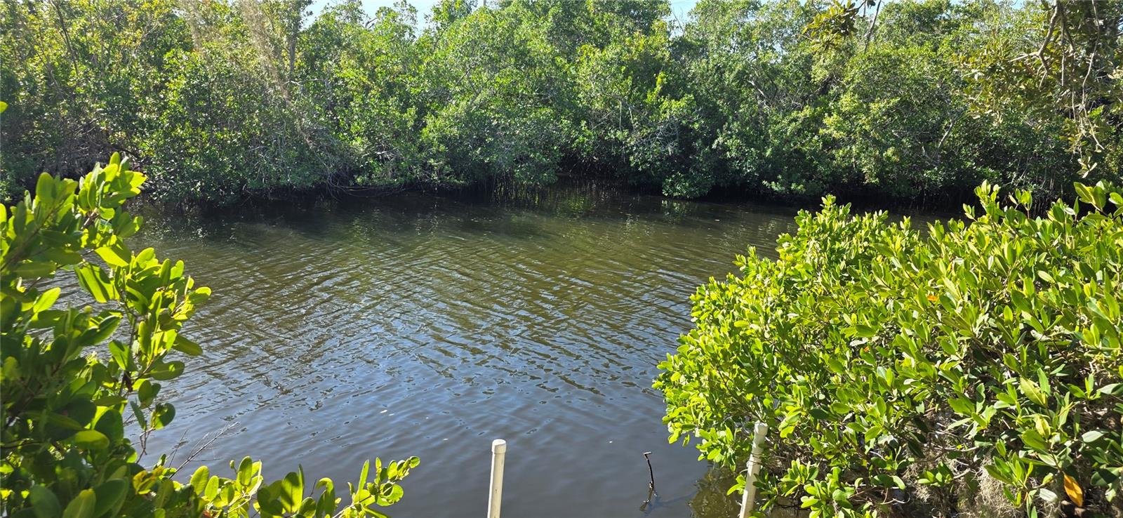 Image 28 of 36 For 1946 Settlement Road 24