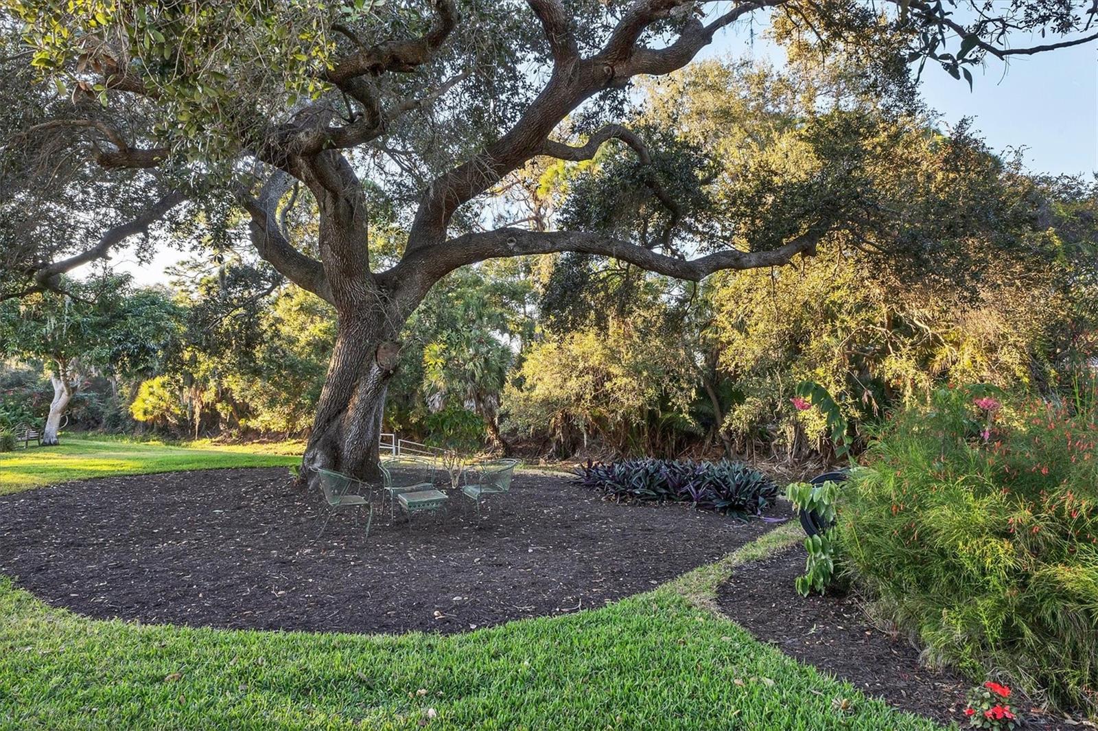 Image 30 of 39 For 8576 Woodbriar Drive